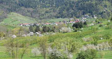 DSC_0126_XXX_EIN_TRAUM_VON_FRÜHLING.JPG