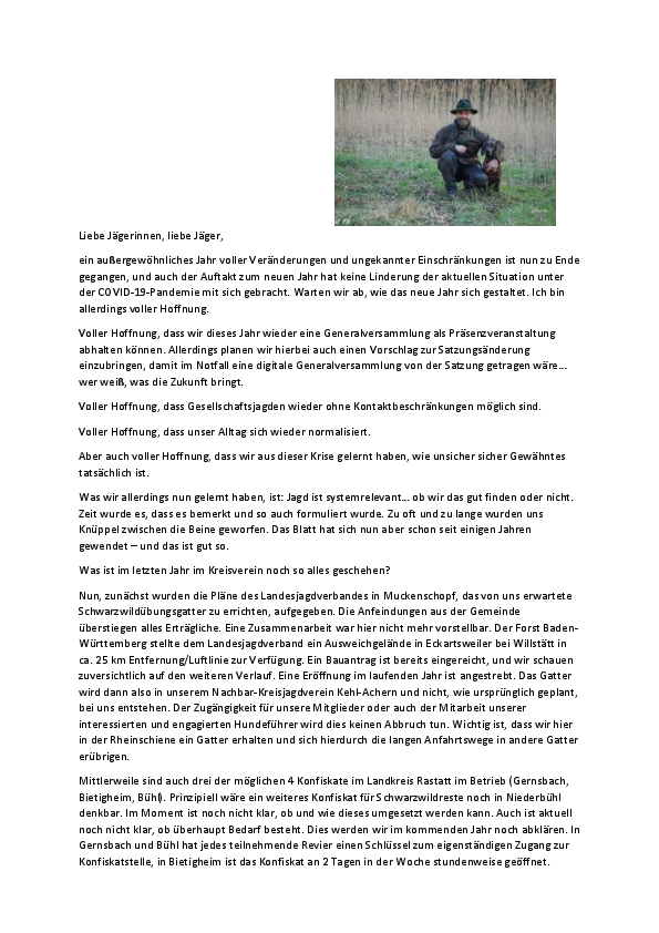 pdf-preview